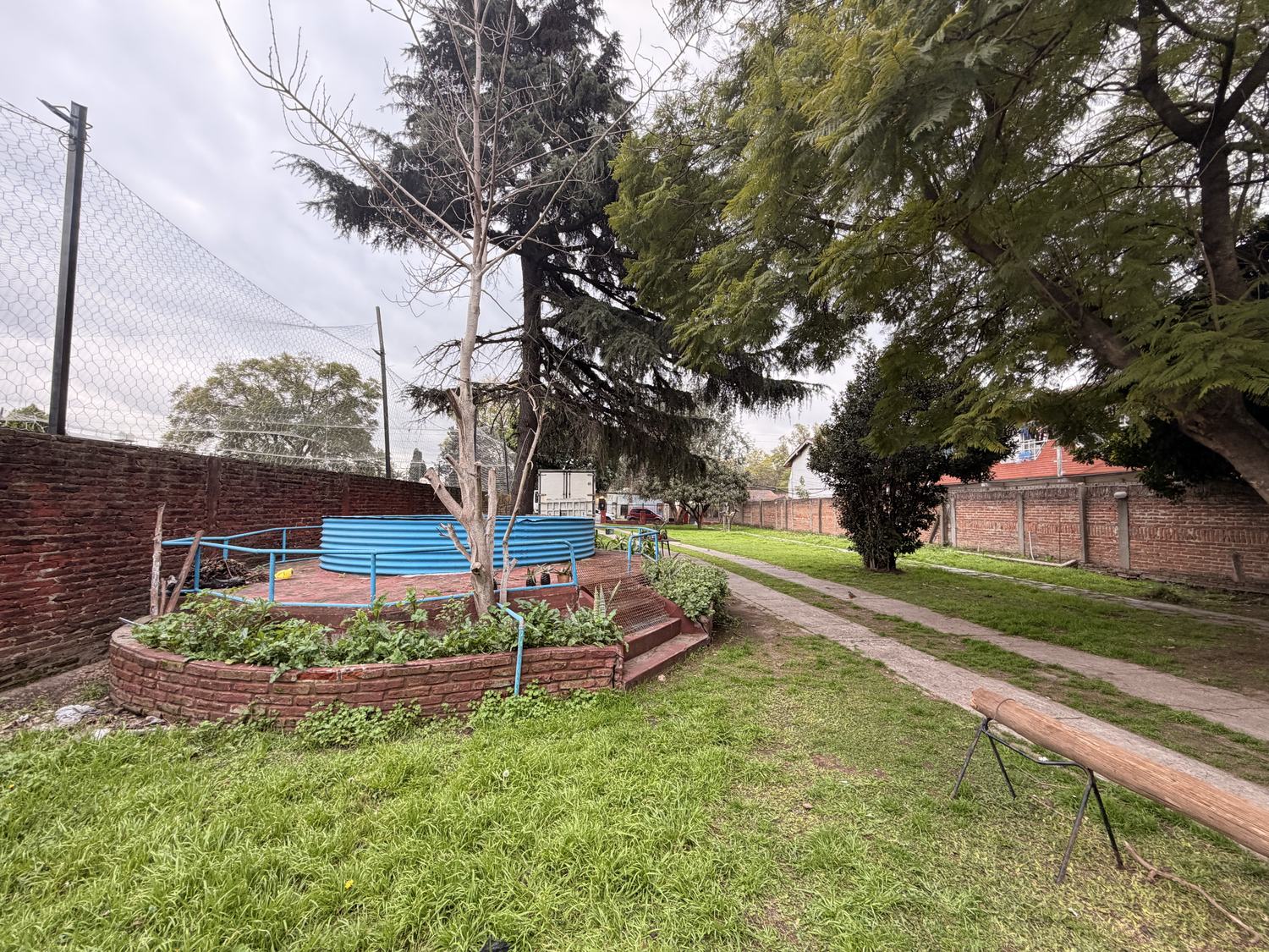 Sendero central entre canteros — lote Maestro Ángel D'Elia 2583