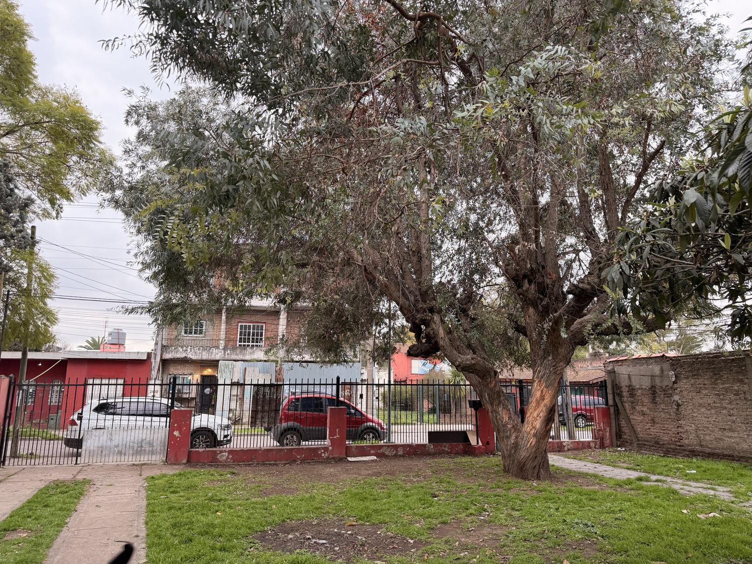 Vista hacia el frente del lote — lote Maestro Ángel D'Elia 2583