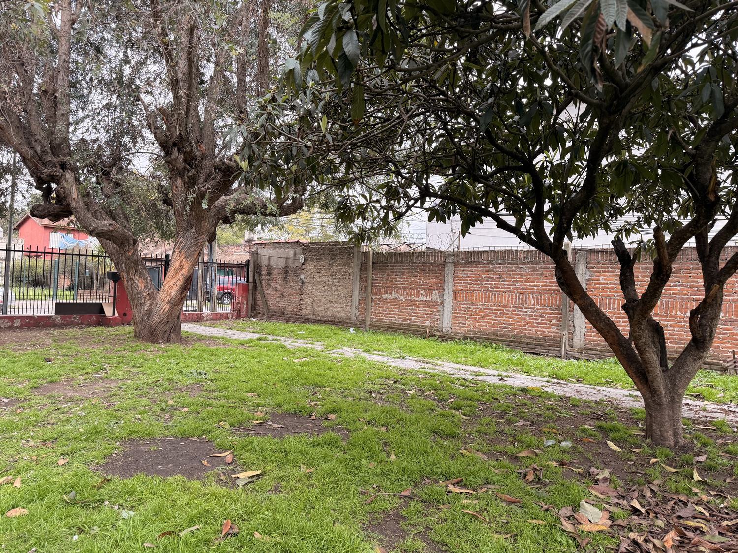 Arbolado y muro perimetral — lote Maestro Ángel D'Elia 2583