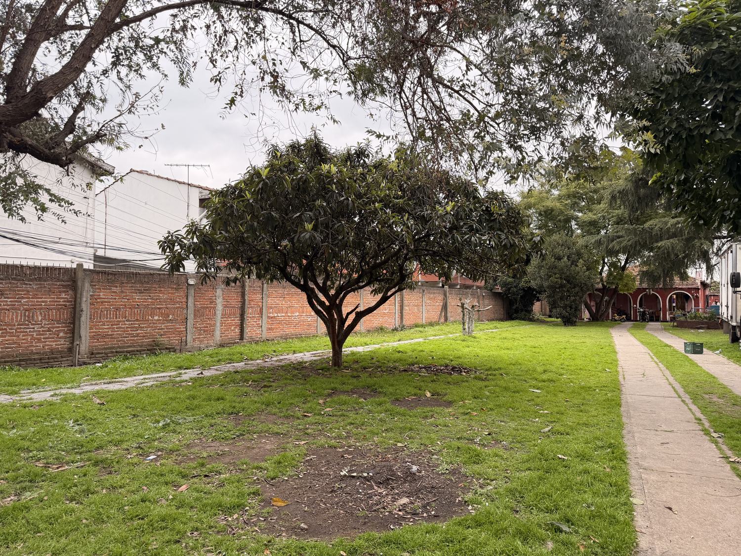 Sendero central bajo los árboles — lote Maestro Ángel D'Elia 2583