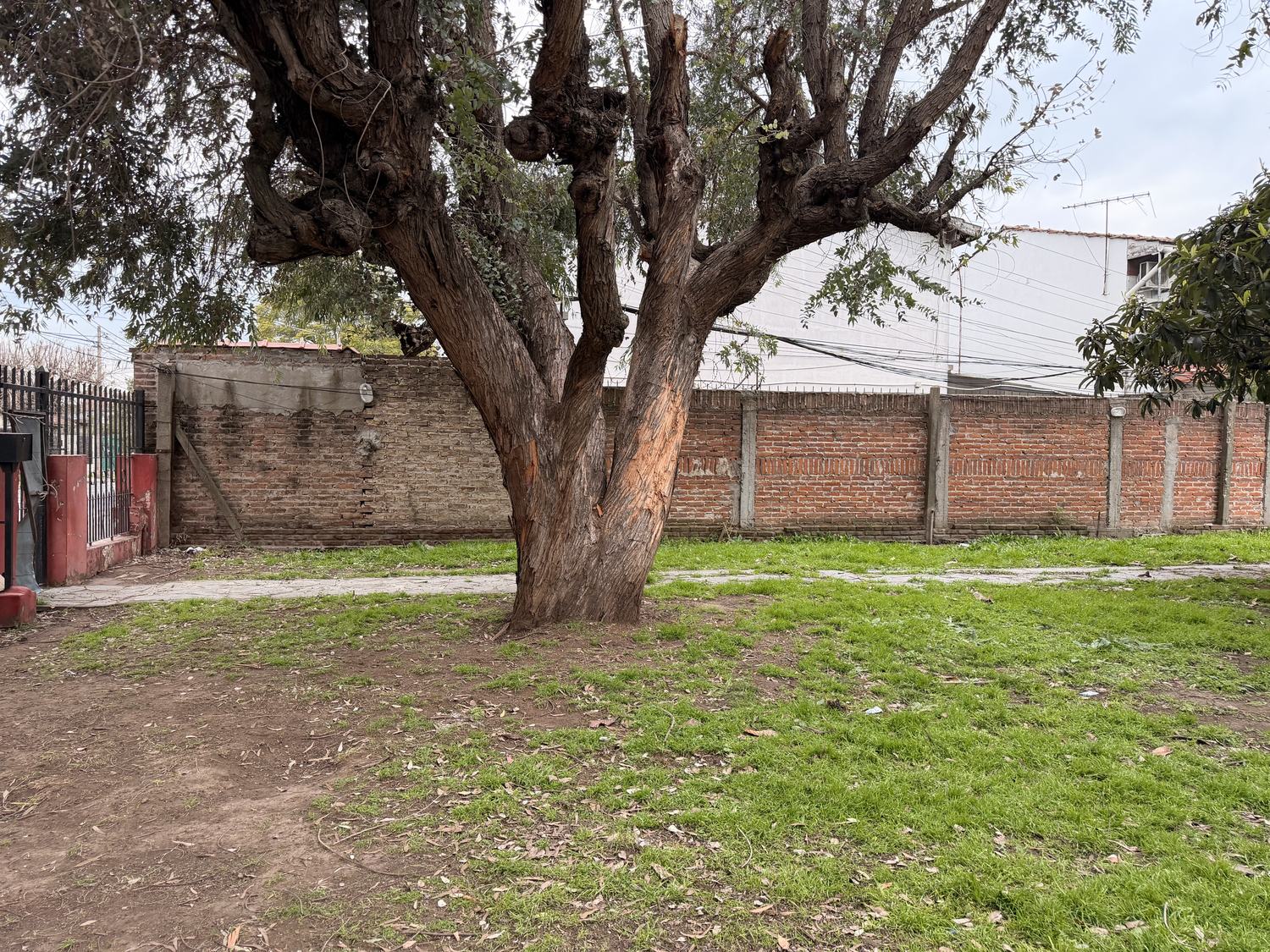 Portón de acceso y muro lateral — lote Maestro Ángel D'Elia 2583